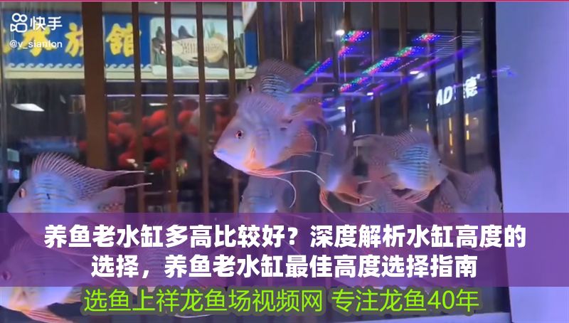 養(yǎng)魚老水缸多高比較好？深度解析水缸高度的選擇，養(yǎng)魚老水缸最佳高度選擇指南 養(yǎng)魚老水缸多高比較好？深度解析水缸高度的選擇，養(yǎng)魚老水缸最佳高度選擇指南 龍魚常見疾病 第1張