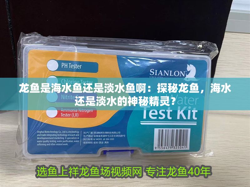 龍魚是海水魚還是淡水魚啊：探秘龍魚，海水還是淡水的神秘精靈？