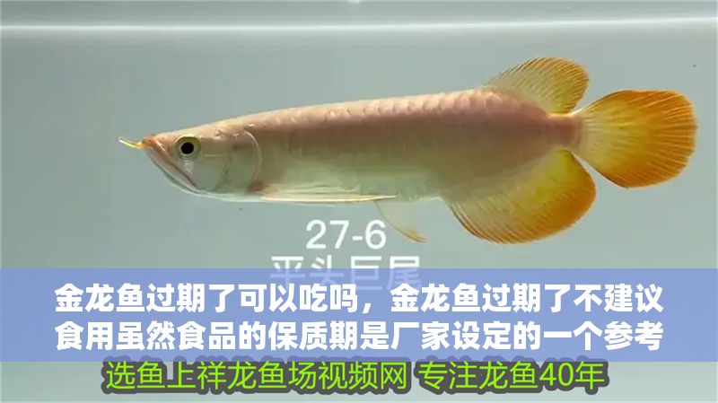 金龍魚過期了可以吃嗎，金龍魚過期了不建議食用雖然食品的保質期是廠家設定的一個參考