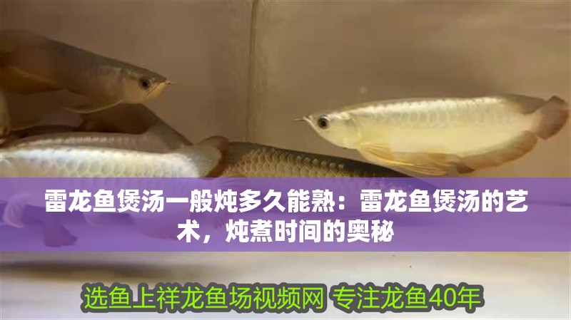 雷龍魚煲湯一般燉多久能熟：雷龍魚煲湯的藝術，燉煮時間的奧秘