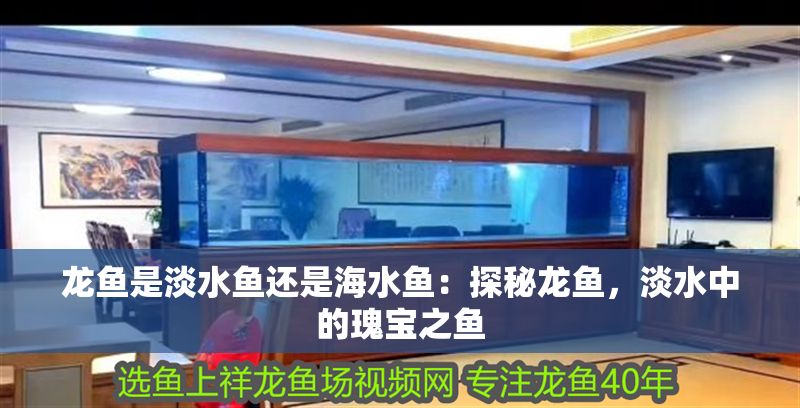龍魚是淡水魚還是海水魚：探秘龍魚，淡水中的瑰寶之魚