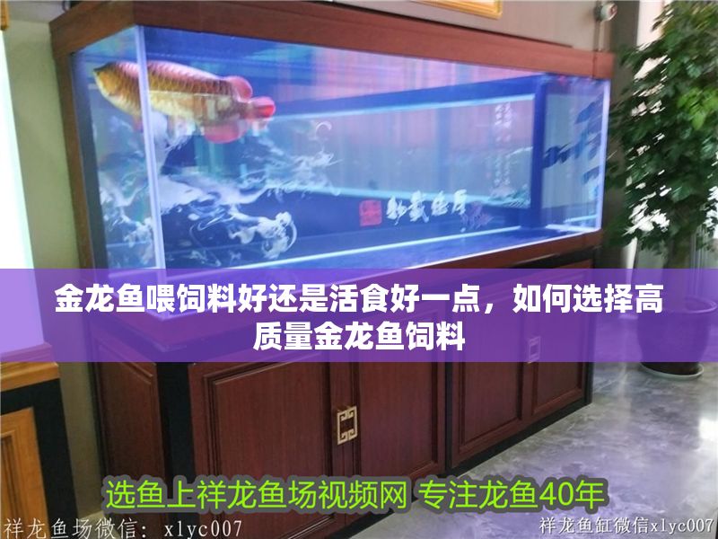 金龍魚喂飼料好還是活食好一點，如何選擇高質量金龍魚飼料 金龍魚喂飼料好還是活食好一點，如何選擇高質量金龍魚飼料 龍魚百科 第2張