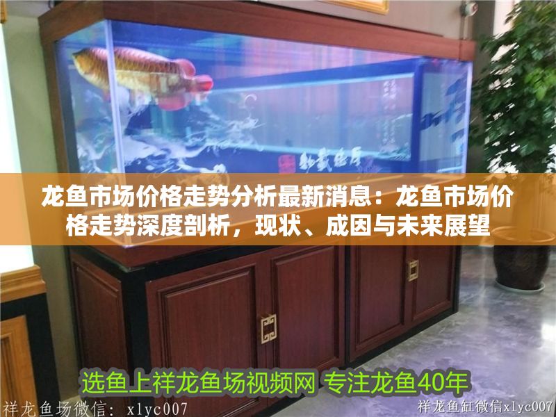龍魚市場價格走勢分析最新消息：龍魚市場價格走勢深度剖析，現狀、成因與未來展望