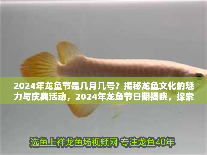 2024年龍魚節(jié)是幾月幾號？揭秘龍魚文化的魅力與慶典活動，2024年龍魚節(jié)日期揭曉，探索龍魚文化魅力與精彩慶典活動
