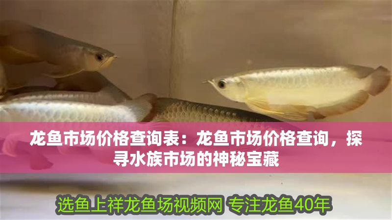 龍魚市場價(jià)格查詢表：龍魚市場價(jià)格查詢，探尋水族市場的神秘寶藏