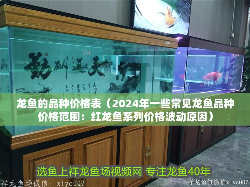 龍魚的品種價格表（2024年一些常見龍魚品種價格范圍：紅龍魚系列價格波動原因）