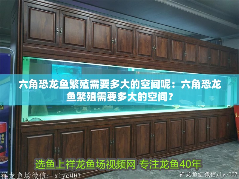 六角恐龍魚繁殖需要多大的空間呢：六角恐龍魚繁殖需要多大的空間？