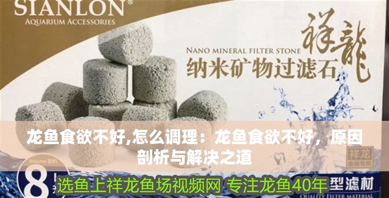 龍魚食欲不好,怎么調理：龍魚食欲不好，原因剖析與解決之道