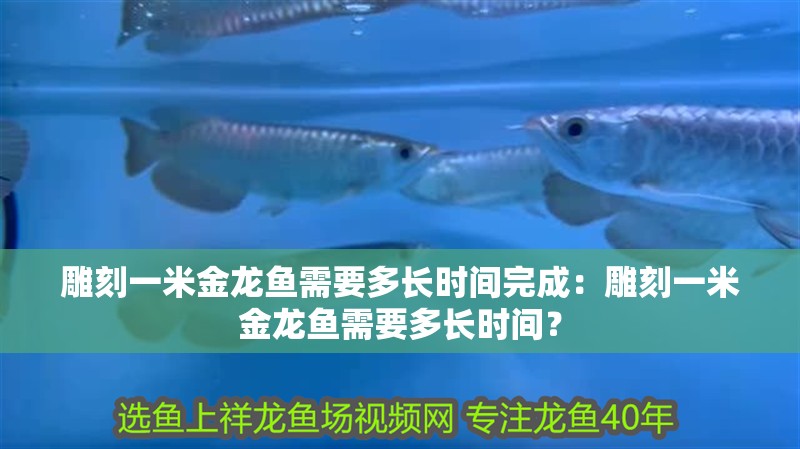 雕刻一米金龍魚需要多長時間完成：雕刻一米金龍魚需要多長時間？