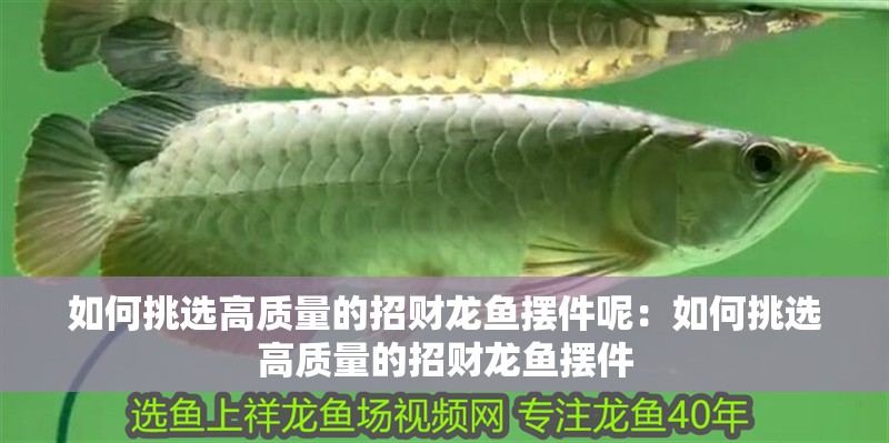 如何挑選高質(zhì)量的招財龍魚擺件呢：如何挑選高質(zhì)量的招財龍魚擺件