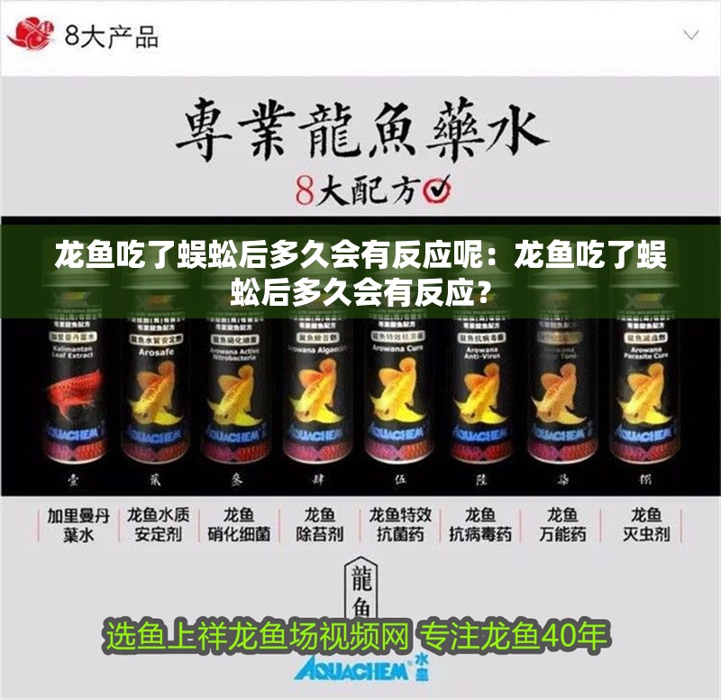 龍魚吃了蜈蚣后多久會有反應呢：龍魚吃了蜈蚣后多久會有反應？