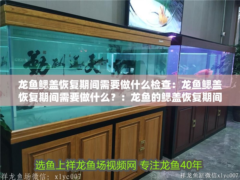 龍魚鰓蓋恢復期間需要做什么檢查：龍魚鰓蓋恢復期間需要做什么？：龍魚的鰓蓋恢復期間需要注意的事項