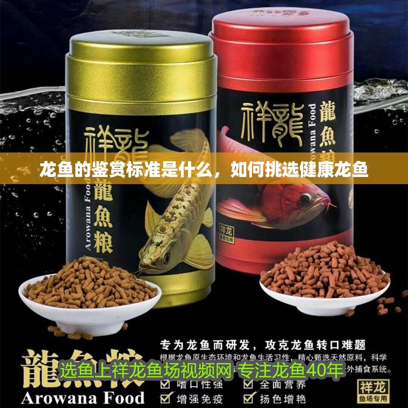 龍魚的鑒賞標準是什么，如何挑選健康龍魚