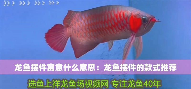 龍魚擺件寓意什么意思：龍魚擺件的款式推薦 龍魚擺件寓意什么意思：龍魚擺件的款式推薦 水族問答