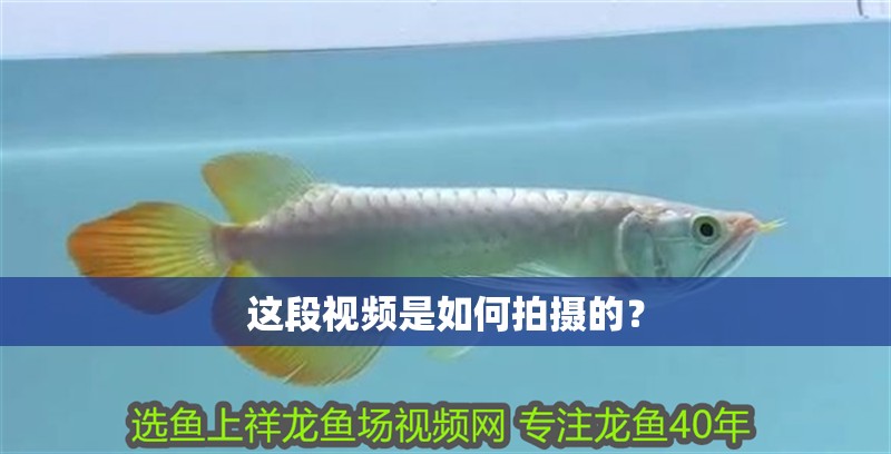 這段視頻是如何拍攝的？