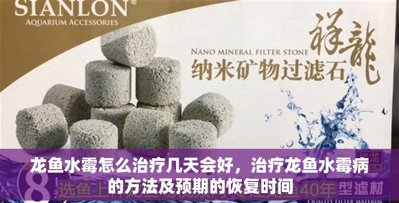 龍魚水霉怎么治療幾天會好，治療龍魚水霉病的方法及預期的恢復時間
