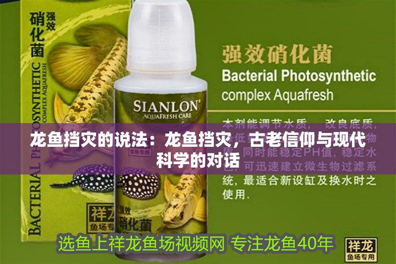 龍魚擋災(zāi)的說法：龍魚擋災(zāi)，古老信仰與現(xiàn)代科學(xué)的對話