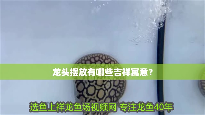 龍頭擺放有哪些吉祥寓意？