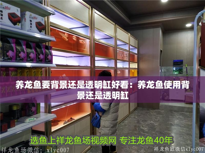 養龍魚要背景還是透明缸好看：養龍魚使用背景還是透明缸