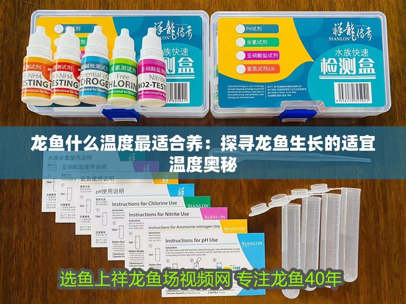 龍魚什么溫度最適合養：探尋龍魚生長的適宜溫度奧秘 龍魚什么溫度最適合養：探尋龍魚生長的適宜溫度奧秘 龍魚百科 第1張