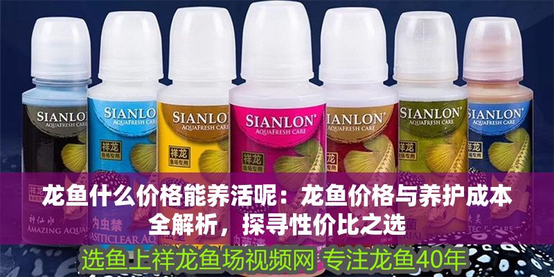 龍魚什么價格能養活呢：龍魚價格與養護成本全解析，探尋性價比之選