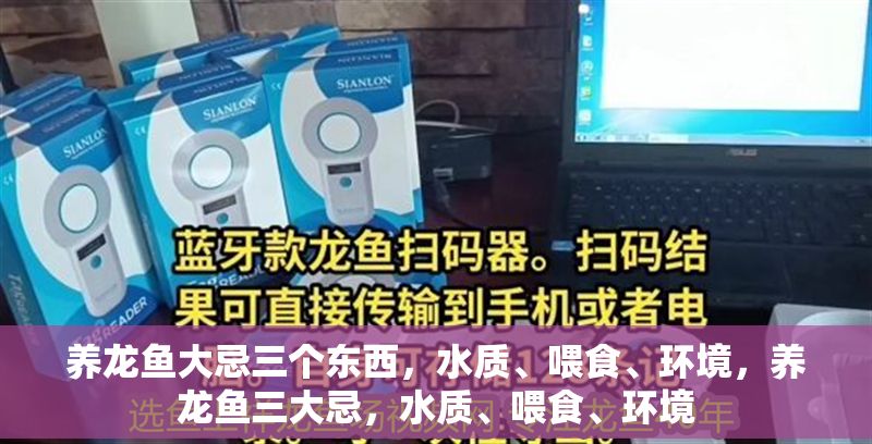 養龍魚大忌三個東西，水質、喂食、環境，養龍魚三大忌，水質、喂食、環境