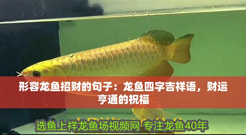 形容龍魚招財(cái)?shù)木渥樱糊堲~四字吉祥語(yǔ)，財(cái)運(yùn)亨通的祝福