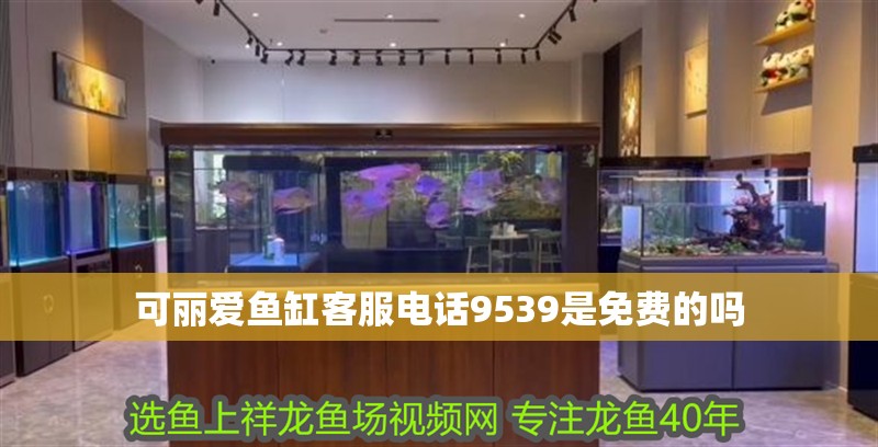 可麗愛魚缸客服電話9539是免費(fèi)的嗎