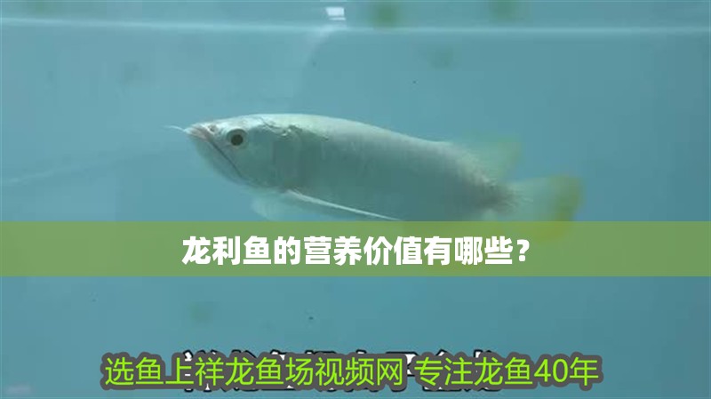 龍利魚的營養價值有哪些？