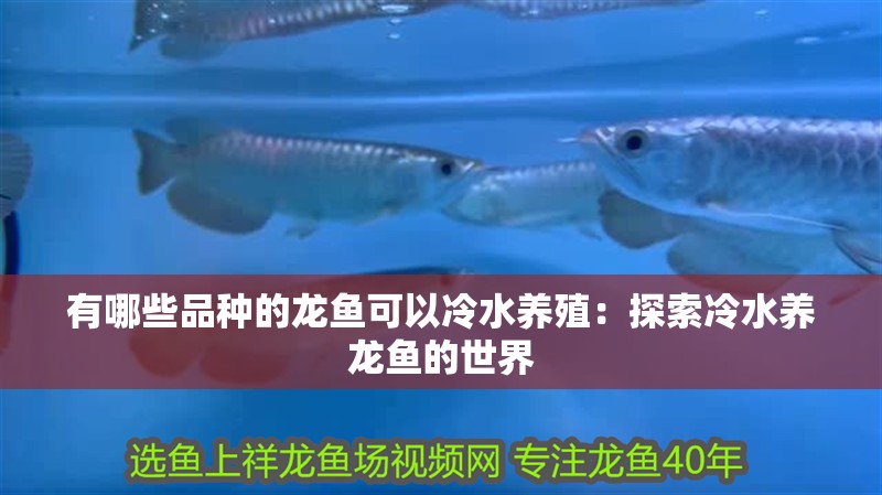 有哪些品種的龍魚可以冷水養殖：探索冷水養龍魚的世界