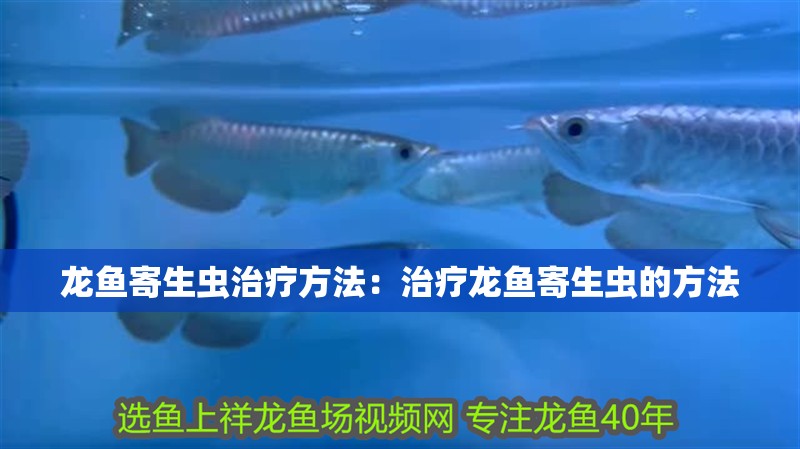 龍魚寄生蟲治療方法：治療龍魚寄生蟲的方法