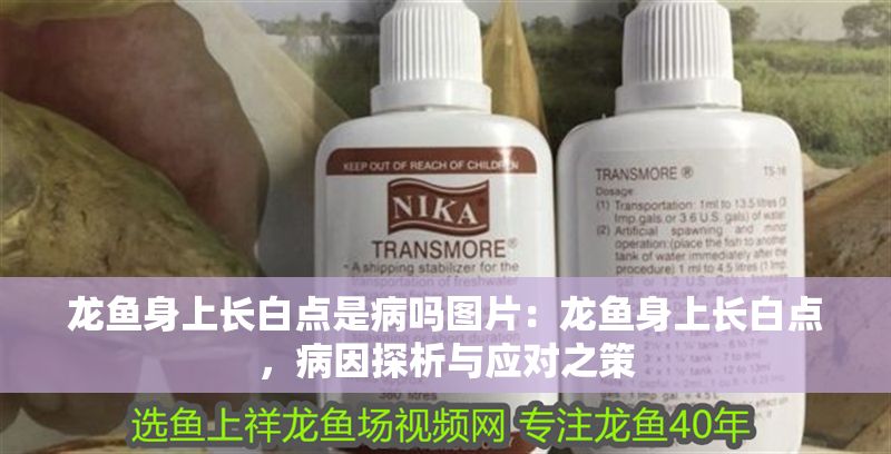 龍魚身上長白點是病嗎圖片：龍魚身上長白點，病因探析與應對之策