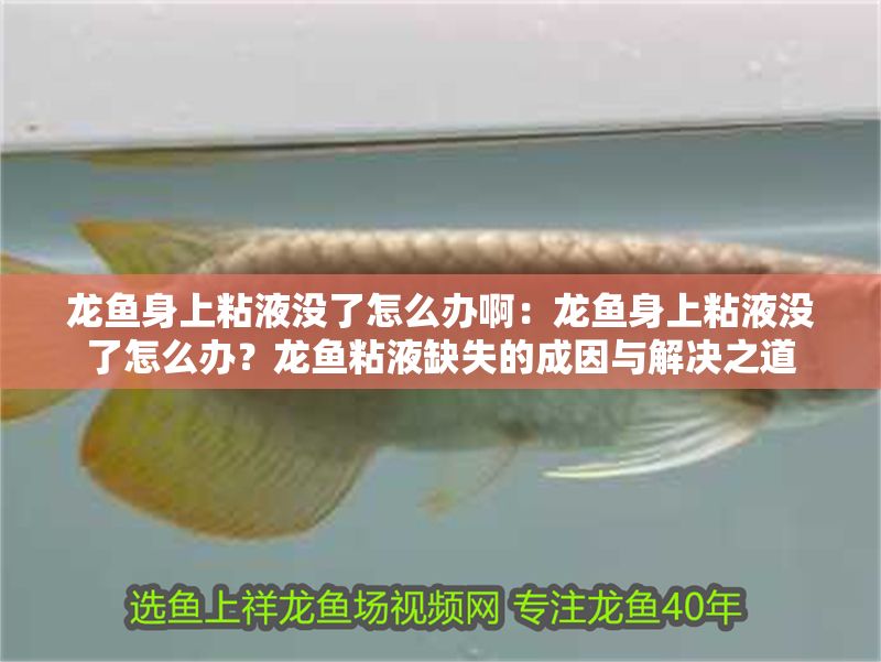 龍魚身上粘液沒了怎么辦啊：龍魚身上粘液沒了怎么辦？龍魚粘液缺失的成因與解決之道