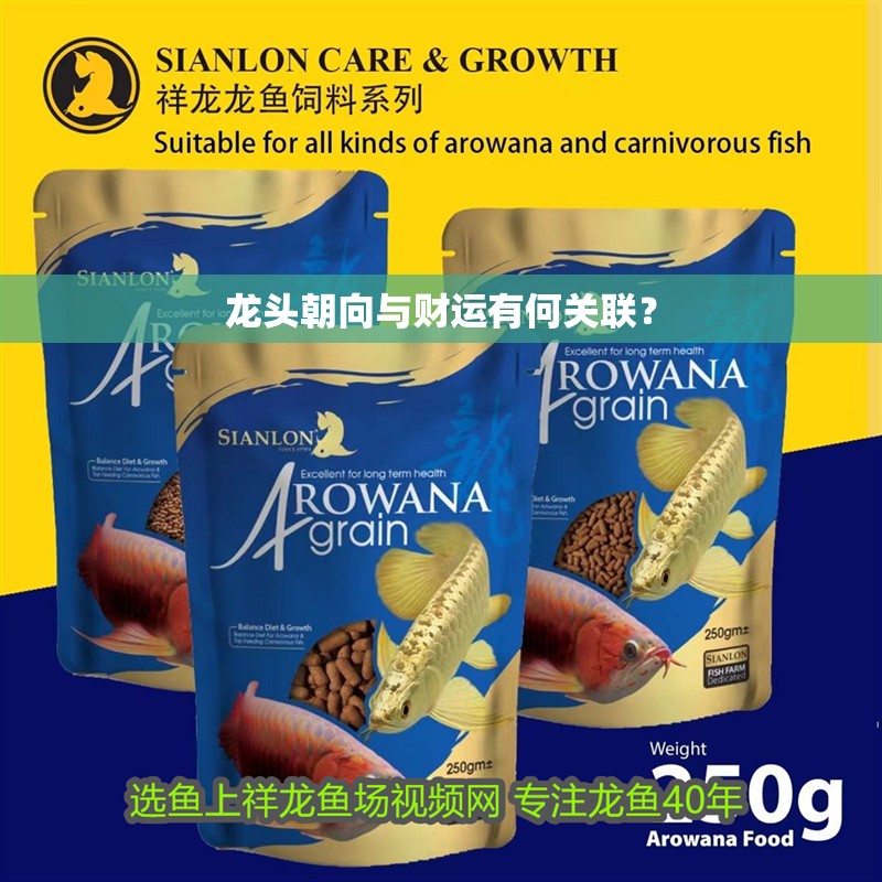 龍頭朝向與財運有何關聯？