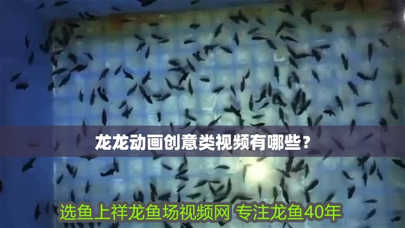 龍龍動畫創意類視頻有哪些？