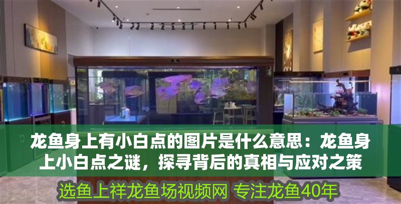 龍魚身上有小白點的圖片是什么意思：龍魚身上小白點之謎，探尋背后的真相與應對之策