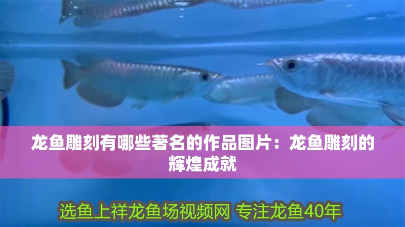 龍魚雕刻有哪些著名的作品圖片：龍魚雕刻的輝煌成就