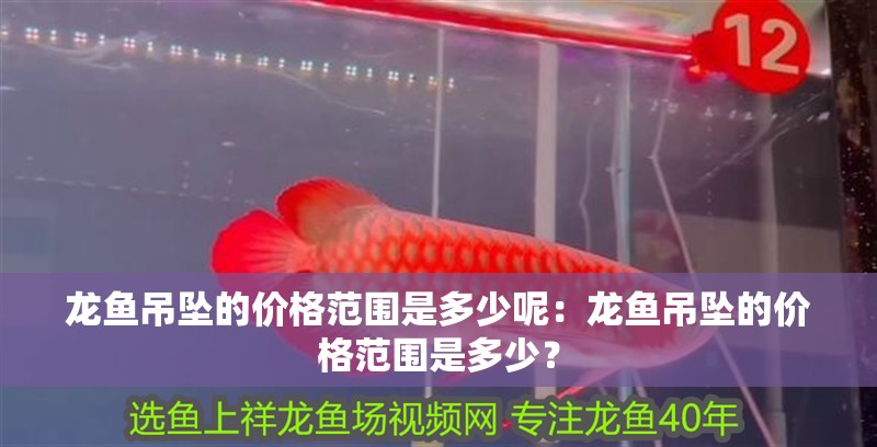 龍魚吊墜的價(jià)格范圍是多少呢：龍魚吊墜的價(jià)格范圍是多少？