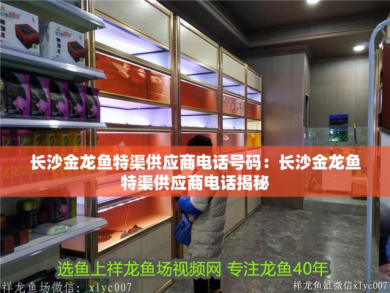 長沙金龍魚特渠供應商電話號碼：長沙金龍魚特渠供應商電話揭秘