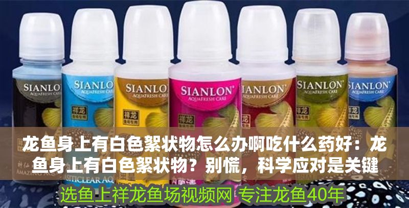 龍魚身上有白色絮狀物怎么辦啊吃什么藥好：龍魚身上有白色絮狀物？別慌，科學應對是關鍵
