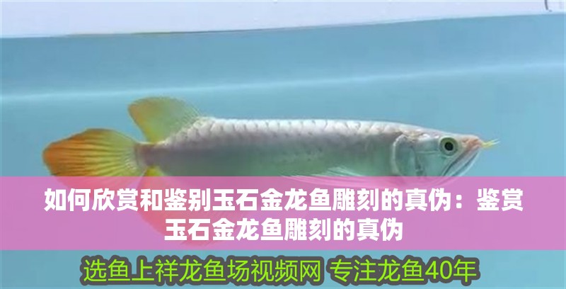 如何欣賞和鑒別玉石金龍魚雕刻的真偽：鑒賞玉石金龍魚雕刻的真偽