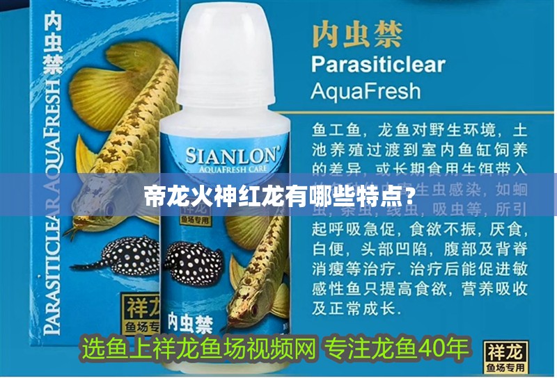 帝龍火神紅龍有哪些特點？