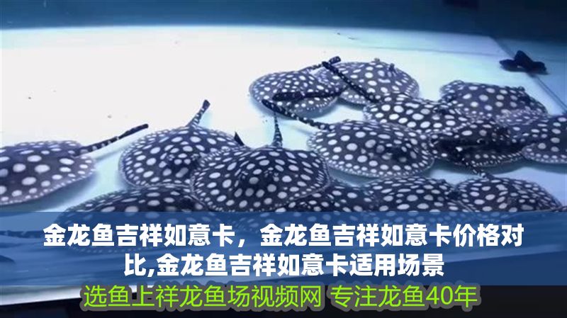 金龍魚吉祥如意卡，金龍魚吉祥如意卡價格對比,金龍魚吉祥如意卡適用場景