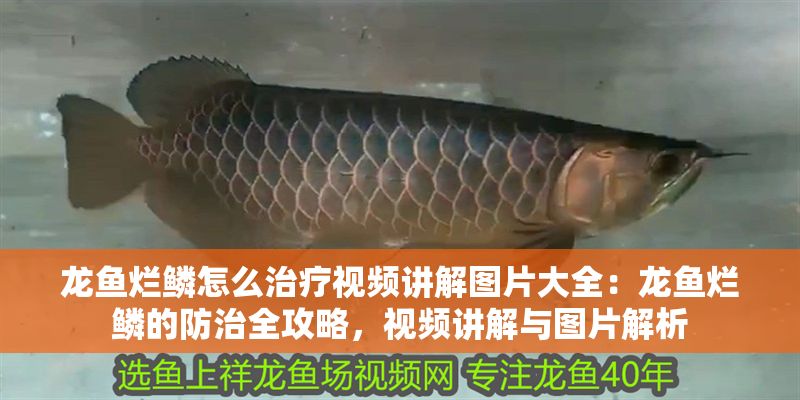 龍魚爛鱗怎么治療視頻講解圖片大全：龍魚爛鱗的防治全攻略，視頻講解與圖片解析