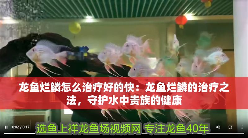 龍魚爛鱗怎么治療好的快：龍魚爛鱗的治療之法，守護水中貴族的健康