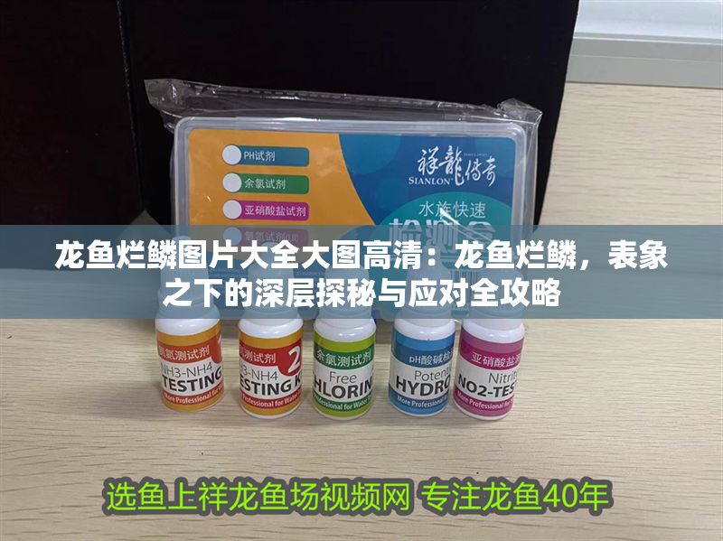 龍魚爛鱗圖片大全大圖高清：龍魚爛鱗，表象之下的深層探秘與應對全攻略