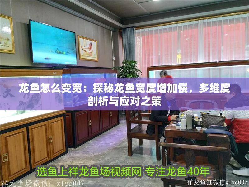 龍魚怎么變寬：探秘龍魚寬度增加慢，多維度剖析與應(yīng)對(duì)之策