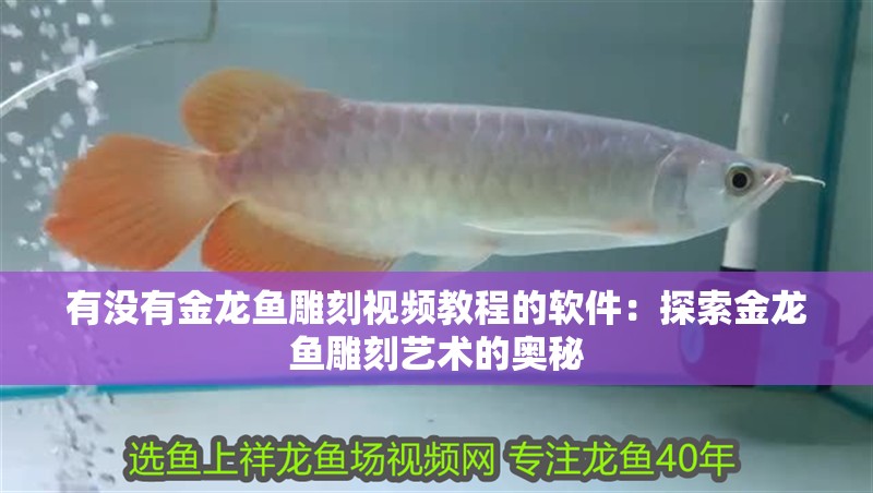 有沒有金龍魚雕刻視頻教程的軟件：探索金龍魚雕刻藝術(shù)的奧秘