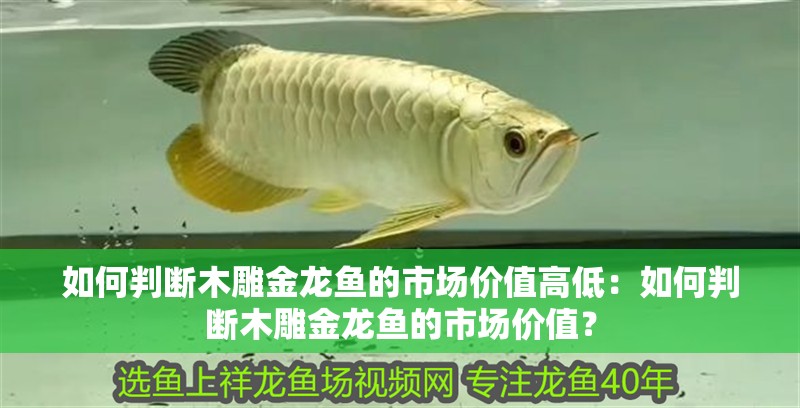 如何判斷木雕金龍魚的市場價值高低：如何判斷木雕金龍魚的市場價值？