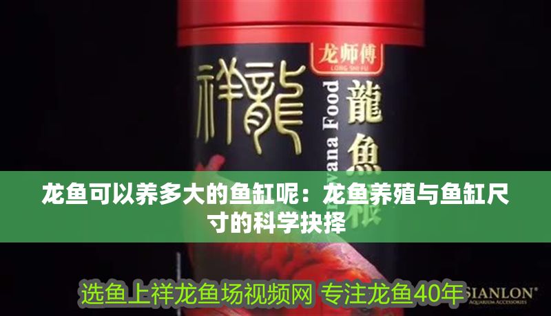 龍魚(yú)可以養(yǎng)多大的魚(yú)缸呢：龍魚(yú)養(yǎng)殖與魚(yú)缸尺寸的科學(xué)抉擇